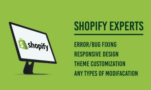 Developers insights on Shopify